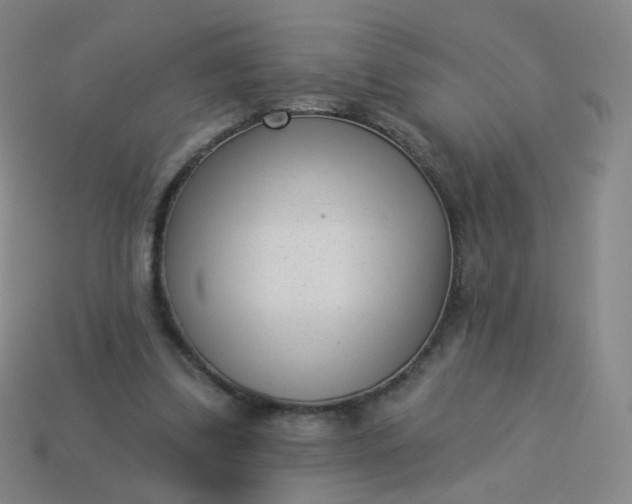 X0000114070299200910191527