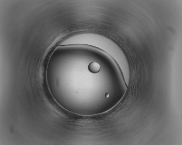 X0000114070300200910191527