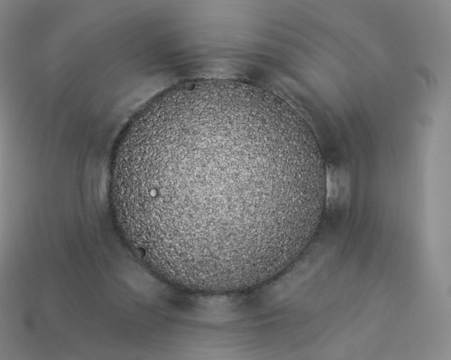 X0000114070301200910191527