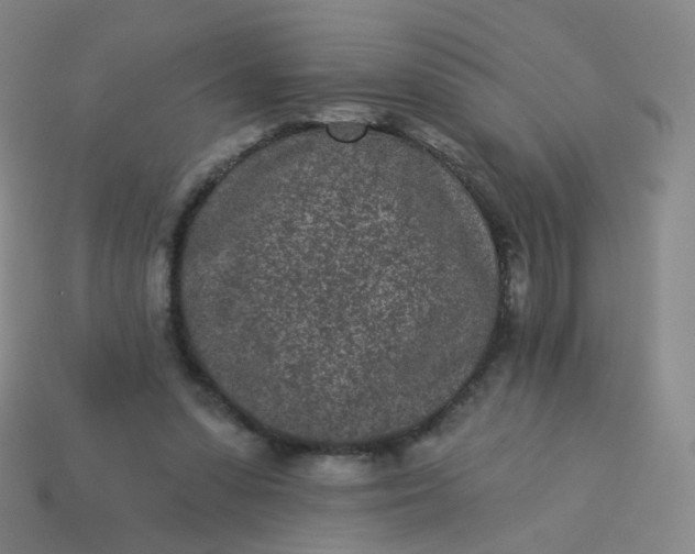 X0000114070303200910191527