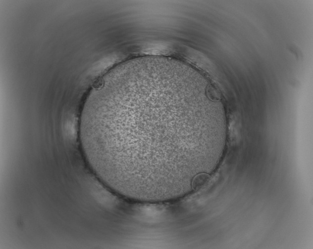 X0000114070305200910191527