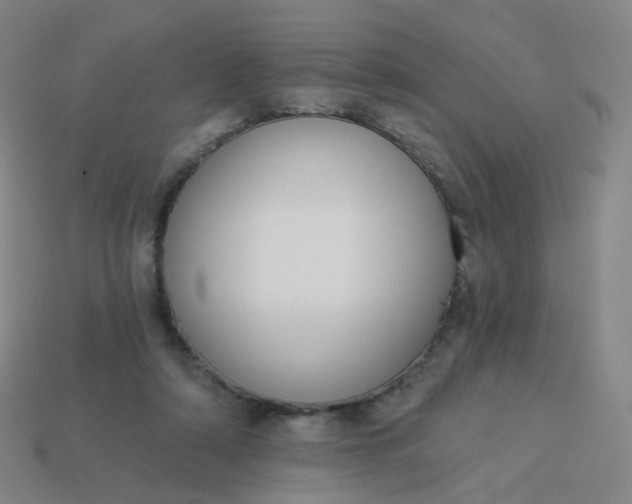 X0000114070306200910191527