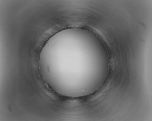 X0000114070307200910191527