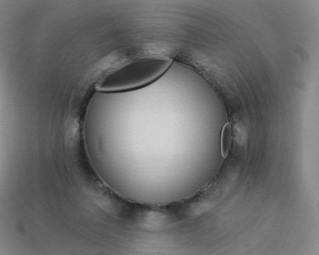 X0000114070308200910191527