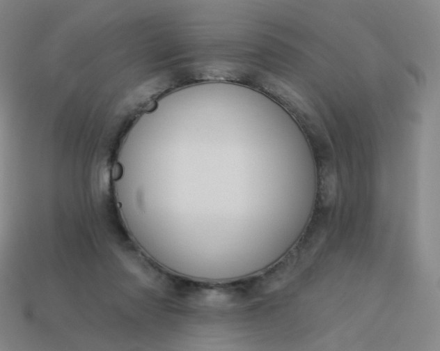 X0000114070310200910191527