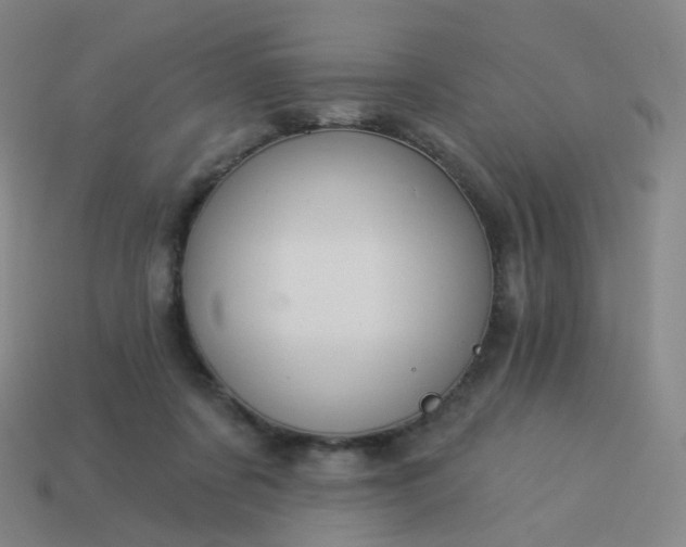 X0000114070311200910191527