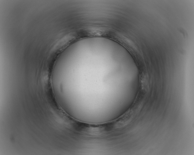 X0000114070314200910191527