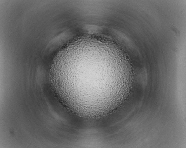 X0000114070316200910191527