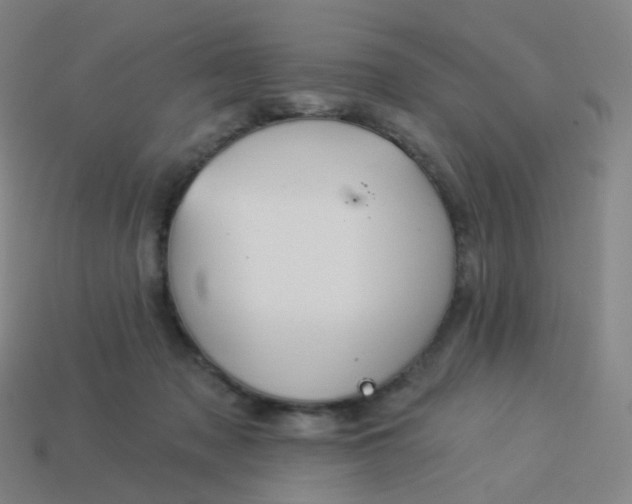 X0000114070317200910191527