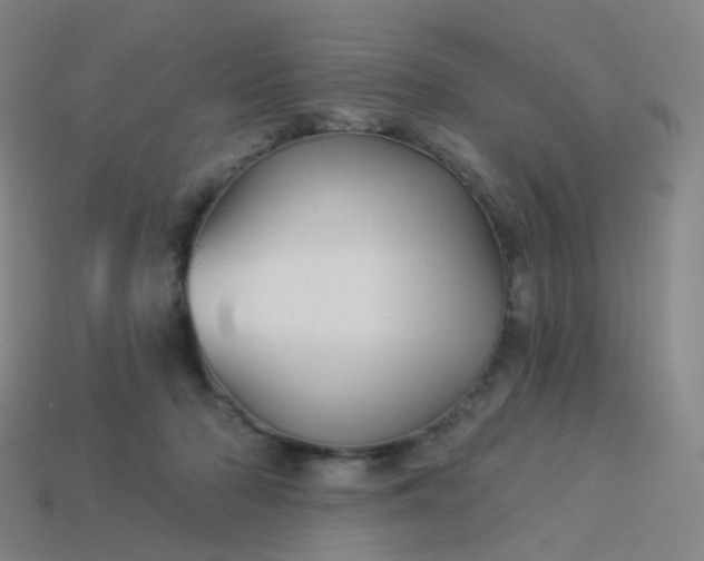 X0000114070318200910191527