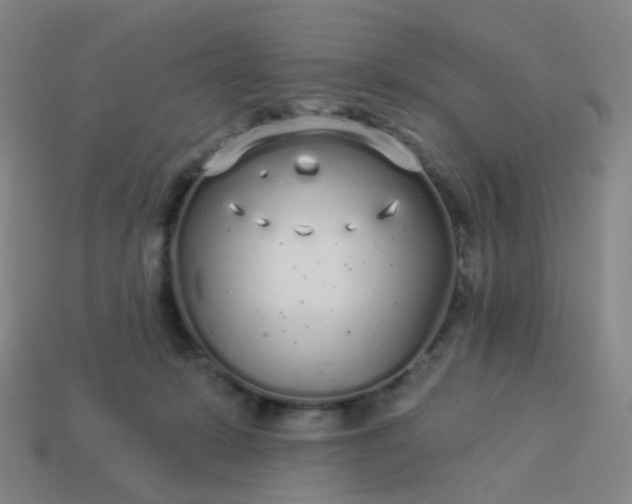 X0000114070319200910191527