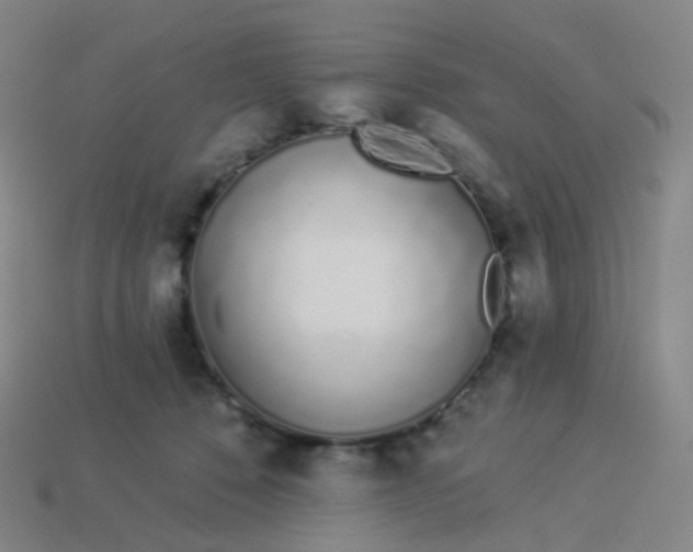 X0000114070320200910191527