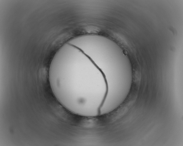 X0000114070321200910191527