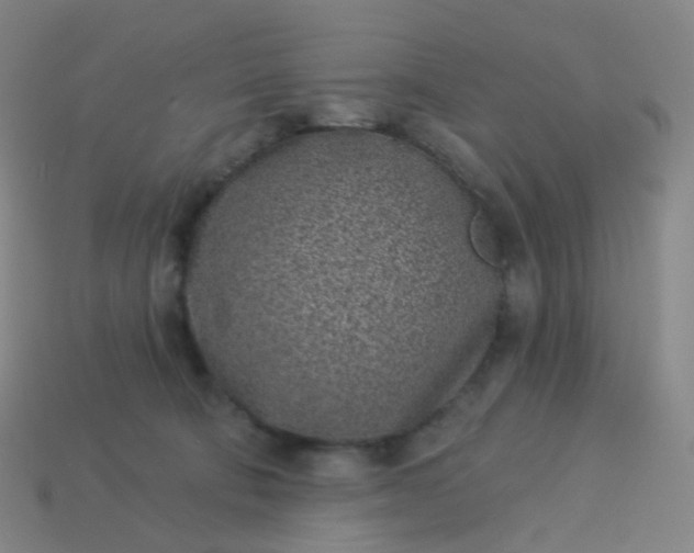 X0000114070322200910191527