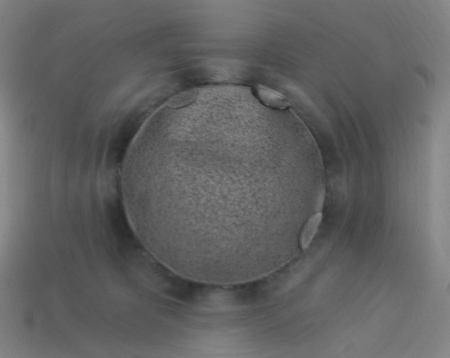 X0000114070325200910191527