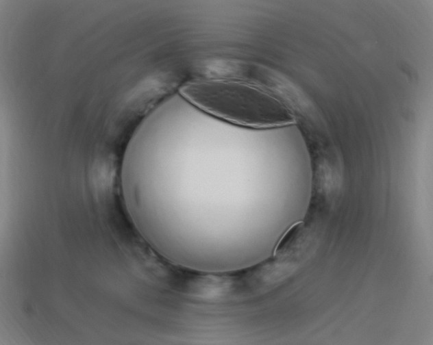 X0000114070328200910191527