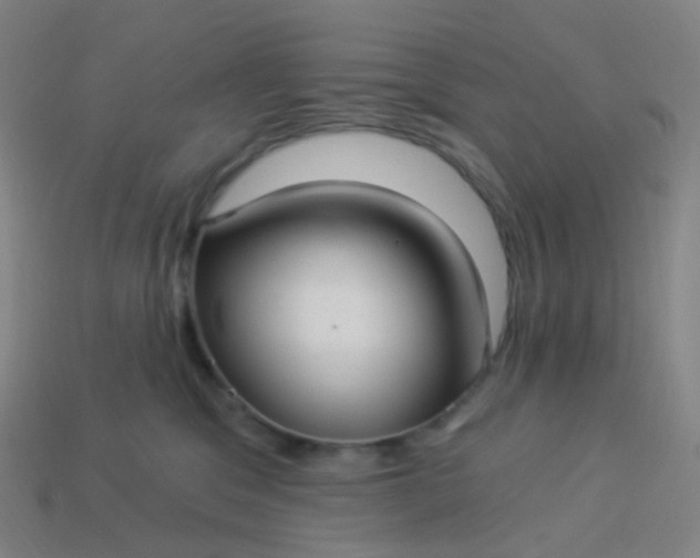 X0000114070329200910191527