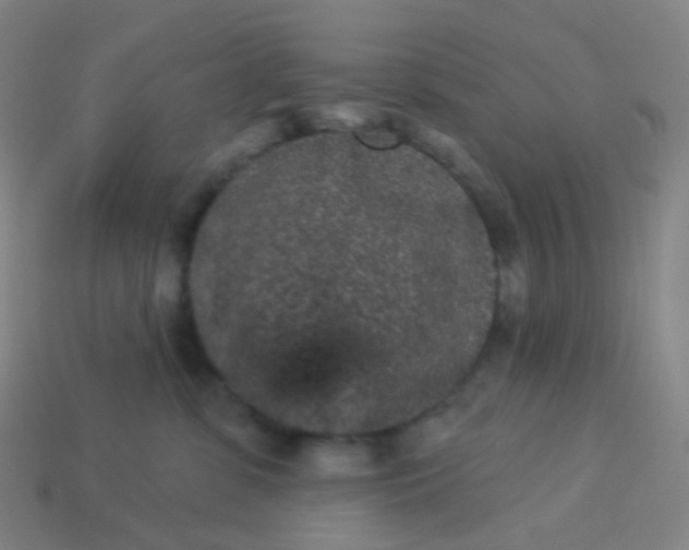 X0000114070331200910191527