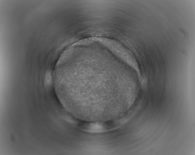 X0000114070335200910191527