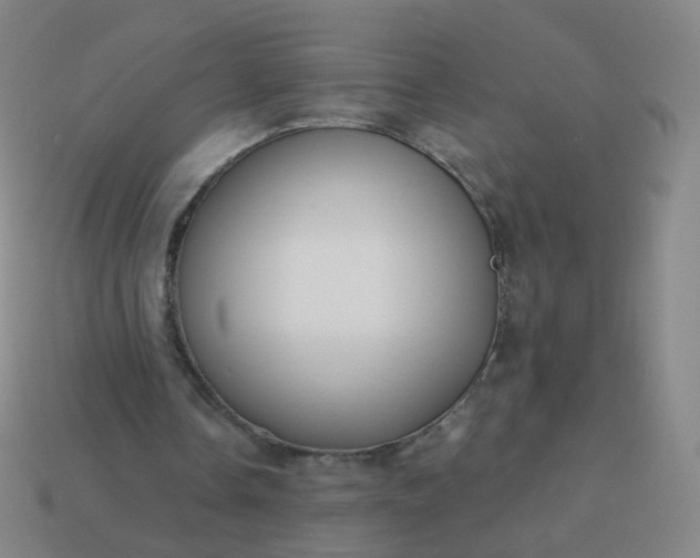 X0000114070338200910191526