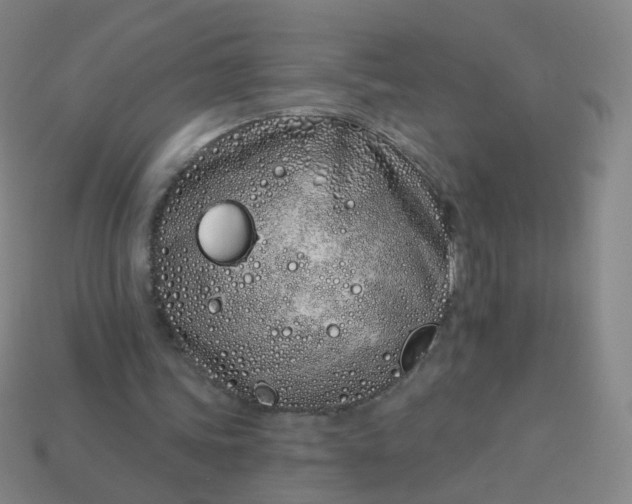 X0000114070339200910191526