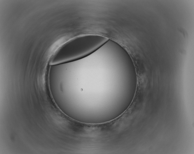 X0000114070340200910191526