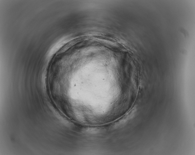 X0000114070341200910191526