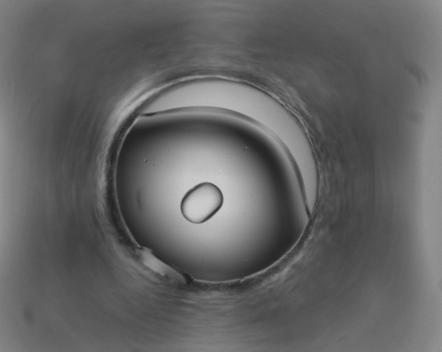 X0000114070344200910191526