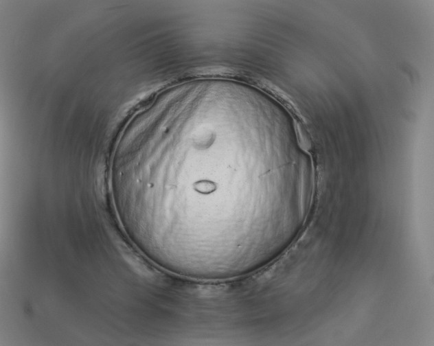 X0000114070345200910191526