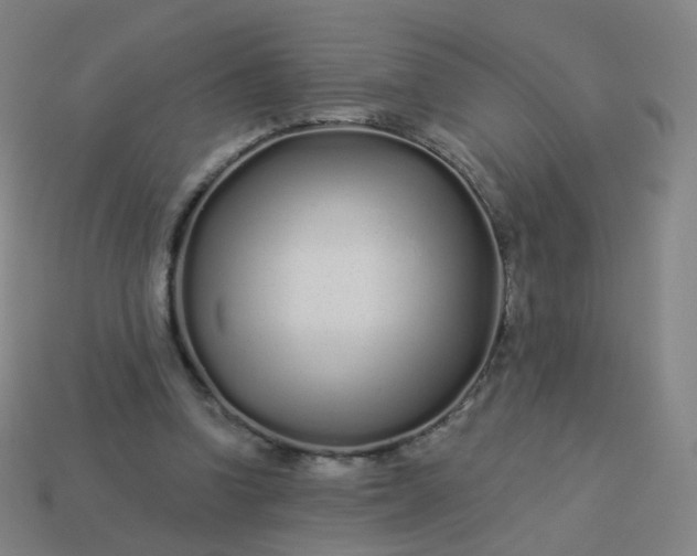 X0000114070346200910191526