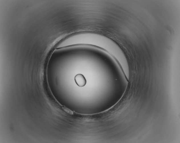 X0000114070348200910191526