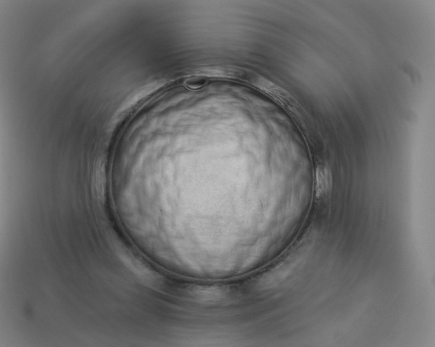 X0000114070349200910191526