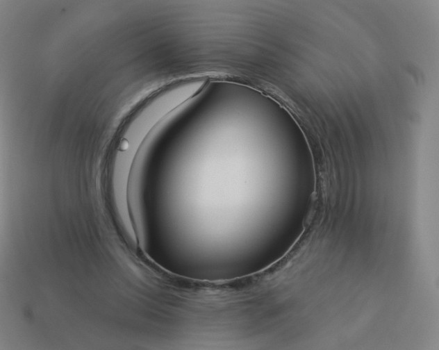 X0000114070350200910191526