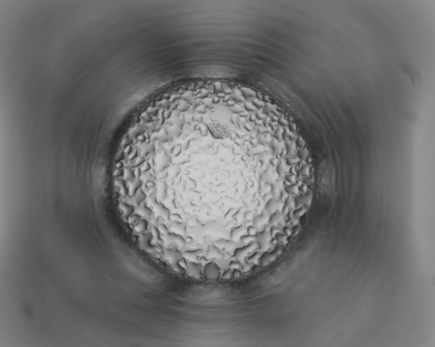 X0000114070351200910191526