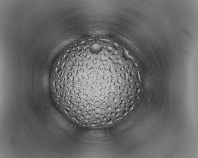 X0000114070353200910191526