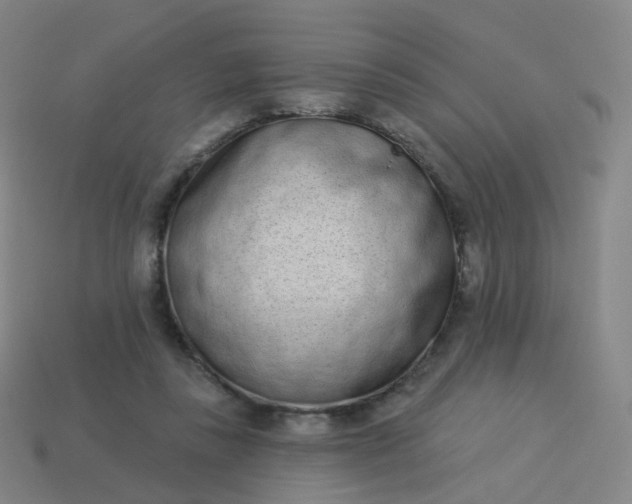 X0000114070355200910191526