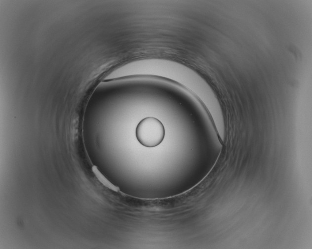 X0000114070356200910191526