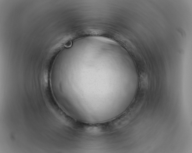 X0000114070358200910191527