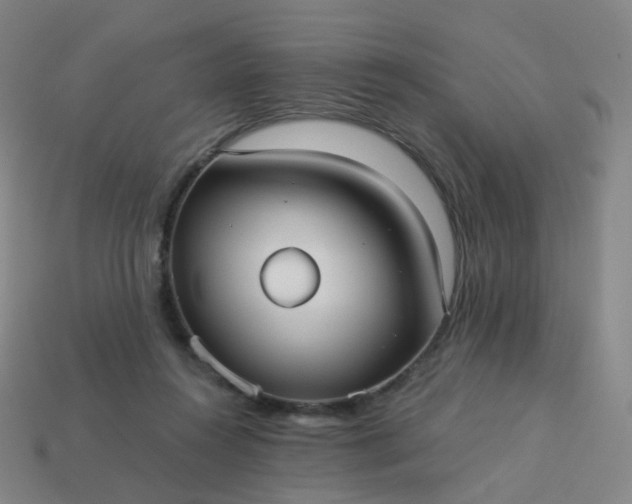 X0000114070360200910191527