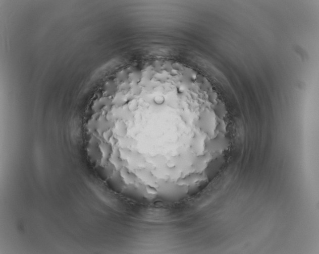 X0000114070361200910191527