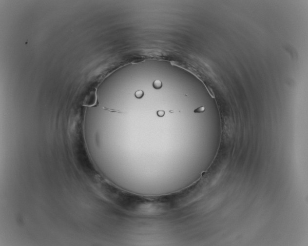 X0000114070364200910191527