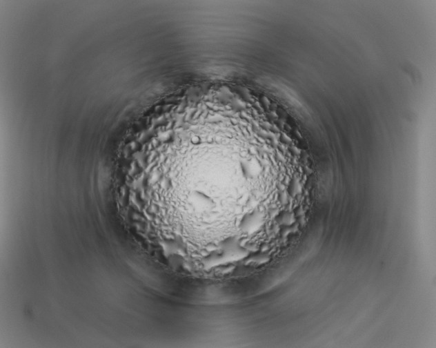 X0000114070365200910191527