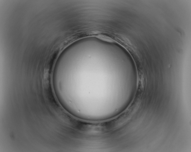 X0000114070366200910191527