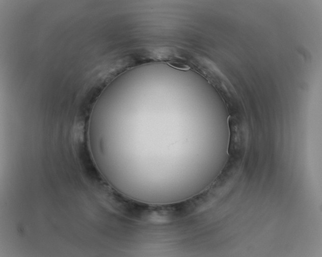 X0000114070368200910191527