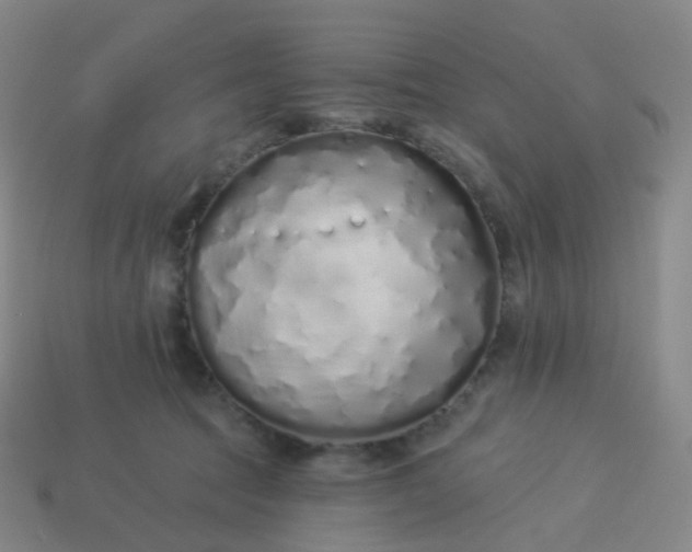 X0000114070369200910191527