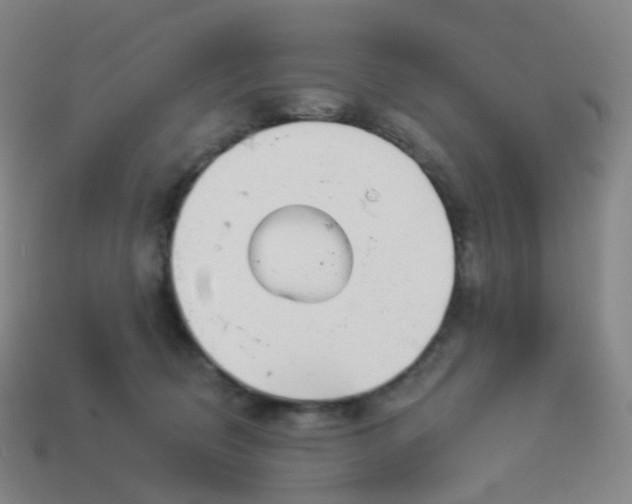 X0000114070370200910191527