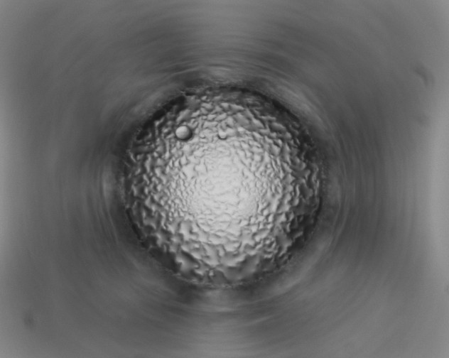 X0000114070371200910191527