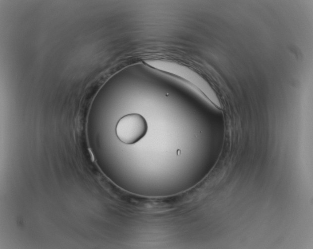 X0000114070372200910191527