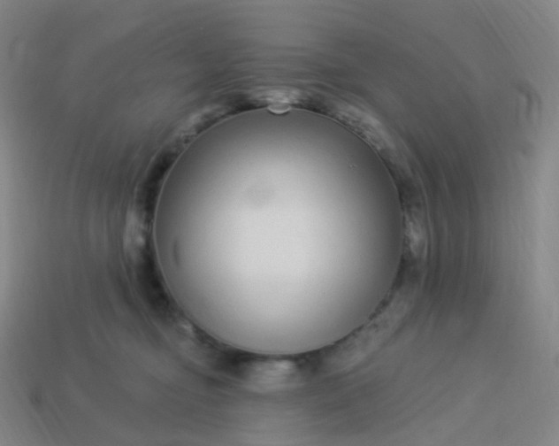 X0000114070374200910191527