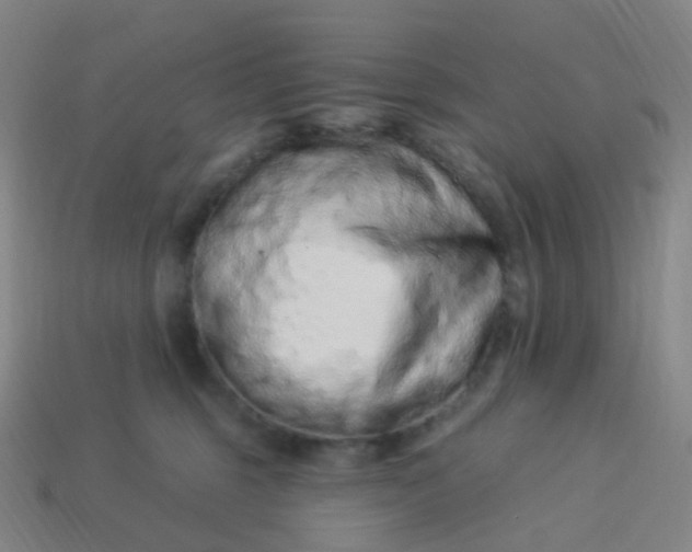 X0000114070375200910191527